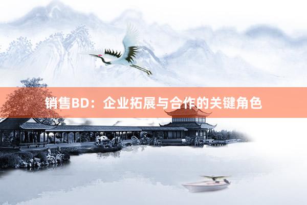 销售BD：企业拓展与合作的关键角色